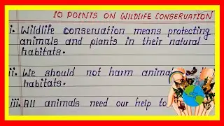 Write 10 Points English Essay on Wildlife Conservation | 10 Lines Essay on Wildlife Conservation 