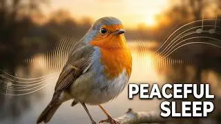 Tranquil Birdsong & Soft Acoustic Music 🌿 Relaxing Soundscape for Peaceful Sleep