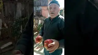 Borsacı dede: O HİSSE S&Uuml;PER !!!!!