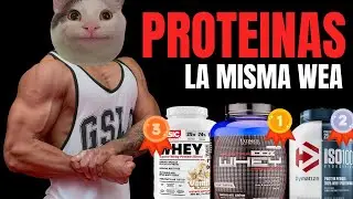 CUAL ES LA MEJOR PROTEINA?