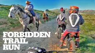 5000w Stealth Bomber VS Sur Ron X VS Horses