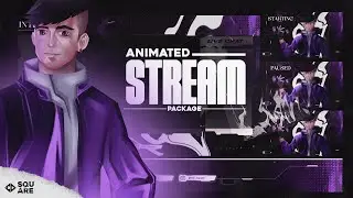 Full Animated Gaming Stream Package | Animated YouTube & Twitch Overlays | MD Square