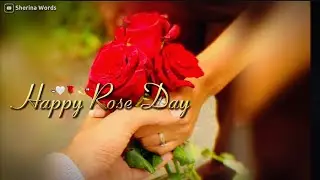 Happy Rose Day WhatsApp Status 🌹|| Rose Day Status 2025 💖||