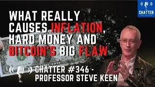 Chatter #346 - Professor Steve Keen: What Really Causes Inflation, Hard Money and Bitcoin's Big Flaw