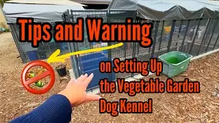 Tips & Warnings on Enclosed Vegetable Garden Protected from Pest, Preparing for Next Growing Season