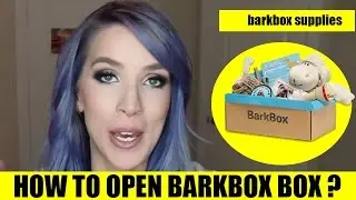 How to open Bark Box ? | Dog excited jumping and playing | Bark Box Supplies