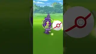 Shiny Shadow Machop! ✨
