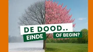 BREAKING: Bewijs gevonden voor leven na de dood? #30