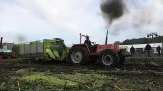 hakseldag dalen met oldtimers 2025