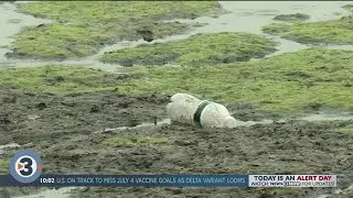 Water quality in Madison's lakes is still a concern - what you can do to make a difference