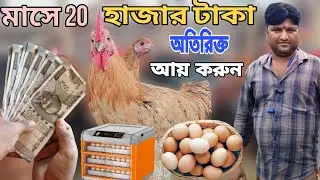 Best incubator | New Business Idea | Best Incubator in west bengal | Chicken egg businesse | Egg