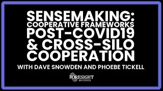 Sensemaking: Cooperative Frameworks post-COVID19 & Cross-Silo Cooperation