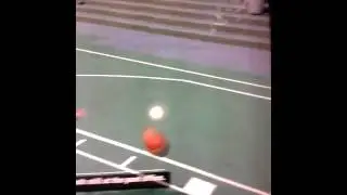 New center 7'3 Outside Shooter Max Wingspan