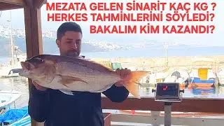 Сколько килограммов весил синарита, представленный на аукционе? Чья догадка оказалась верной?