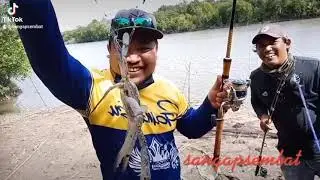 @pulau indah - blue crab fishing 23\10\21  #akubudakbarubelajar #sangapsembat #akuxkumpau#bluecrab