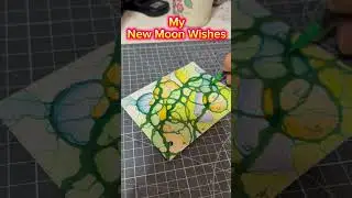 Manifesting my dreams and wishes at the New Moon 🌑
