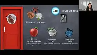 20.2 Analysis of Cittas by way of Doors