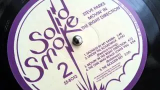 Steve Parks - Movin In The Right Direction