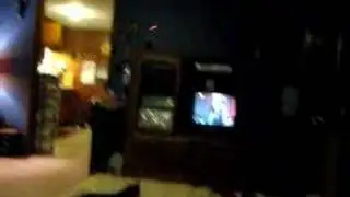 laser pointer and cat