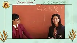 Ecological Creativity Q/A