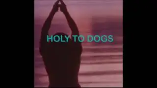 MIDI JANITOR - HOLY TO DOGS - HS037