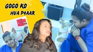 Gogo ko hua pyar #yuvikachaudhary