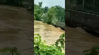 Flood Monster! Large bamboo forest collapsed instantly, shocking scene