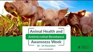 Biosecurity lessons from avian influenza - Animal Health and Antimicrobial Awareness Week - Part 7