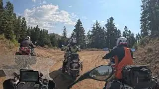 Northern California BDR - Section 9 - Part 3 (Baby Bear Spotting)