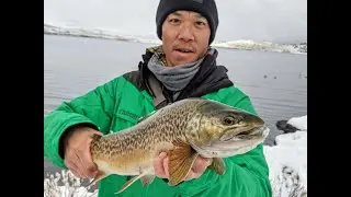 Epic Panguitch, Utah Fly Fishing Trip: 