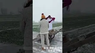 The wind is a bit strong#Funny#Rural funny jokes Douyin Little Assistant