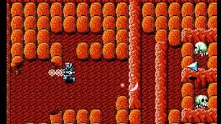 RoboWarrior / Bomber King (Nintendo NES system)