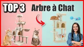 TOP 3 : MEILLEUR ARBRE A CHAT 2025