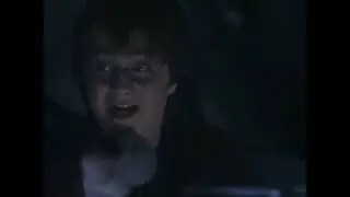 The Chamber of Secrets - Whomping Willow