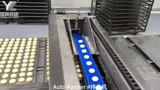 Auto Panner,Aligning Machine,Food Panning Machine,Arrangement Machine for Asian Tau Sar Piah #排盘机