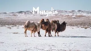 Travel to Mongolia in Winter