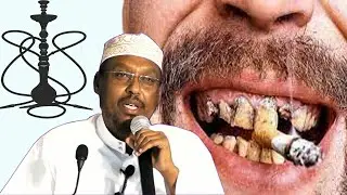 Qatarta Sigaarka iyo Shiishada Sh Mustafe