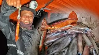Malaking Pusit