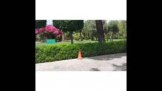 A Beautiful Scenery Inside The Park/Engomi Park