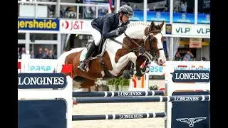Ulyss Morinda Selle Français Stallion, born in 2008