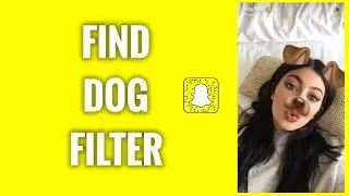 Как найти фильтр &laquo;Собака&raquo; в Snapchat