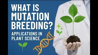 What is Mutation Breeding? | Applications in Plant Science 🌱✨