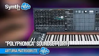 ARTURIA MATRIXBRUTE ♫ 16 Polyphonic Sounds ► Polyphonica Soundset | DRY