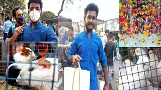 |&nbsp;kolkata galiff street pet market 2021 | Bindass vlogger | TheLazyBong | price update |
