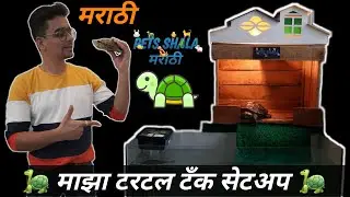 Turtle tank setup marathi | my turtle tank setup | majha turtle tank setup 🐢