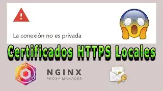 Gu&iacute;a para crear Certificados HTTPS Locales con Nginx Proxy Manager