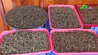 Dalavi ti&ecirc;n phong đưa đặc sản Đ&agrave; Lạt l&ecirc;n s&agrave;n thương mại điện tử