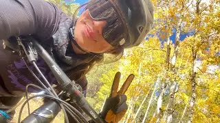 Hart Prairie loop, Flagstaff AZ.