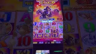 Buffalo Gold 🦬 Small Win at Foxwoods #slot #slotscasinogames #casinogame #newengland #foxwoods