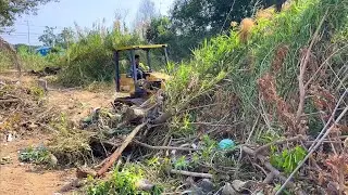 Amazing Skills Driver Clearing Forest &Trash By Dozer Mitsubishi D20BD